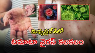Tomato Virus (imagecredit:twitter)