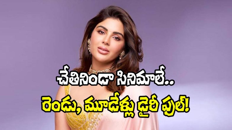 Samyuktha (Image Source: X)