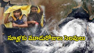 School Holidays (imagecredit:twitter)