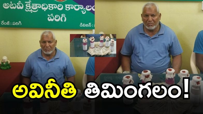 Vikarabad District ( image credit: swetcha reporter)