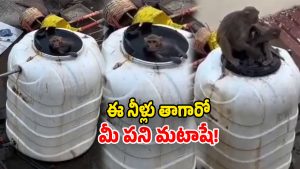 Viral Video (Image Source: twitter)