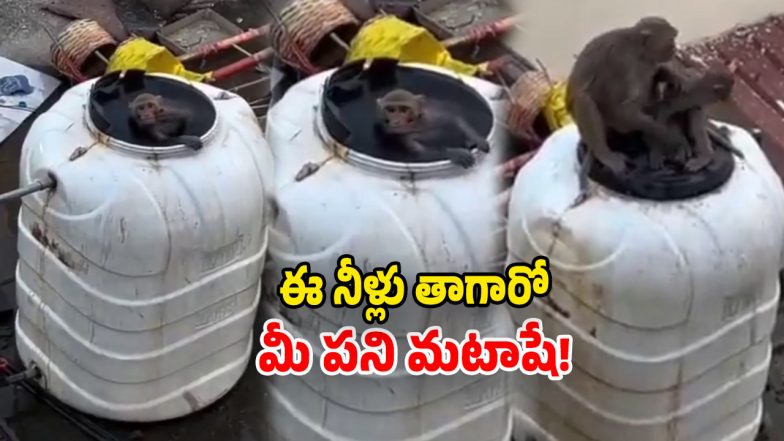 Viral Video (Image Source: twitter)