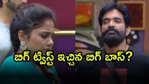 Bigg Boss 9 Telugu ( Image Source: Twitter)