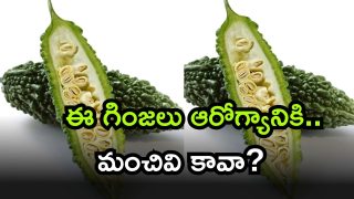 Bitter gourd ( Image Source: Twitter)