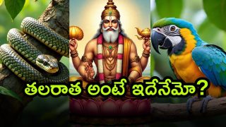 Brahma ( Image Source: Twitter )