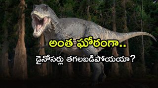 dinosur ( Image Source: Twiter)