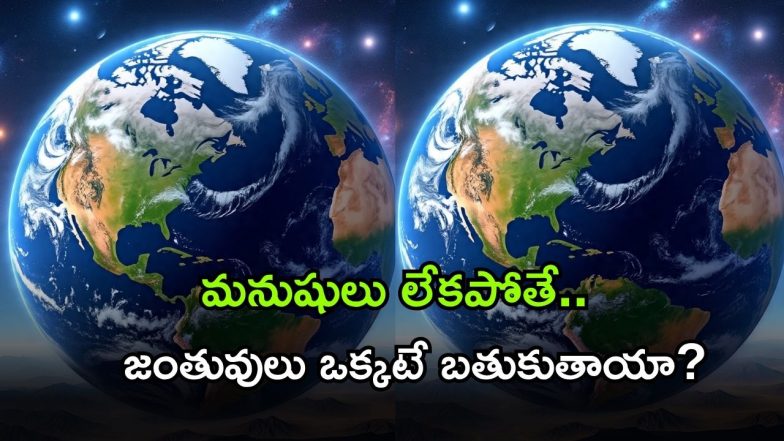 earth ( image Source: Twitter)