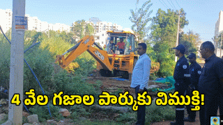 Hydra ( image credit: swetcha reporter)