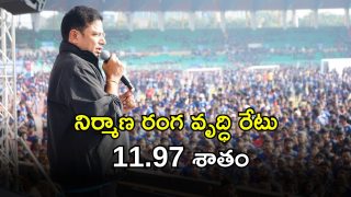 Minister Sridhar Babu (imagecredit:swetcha)