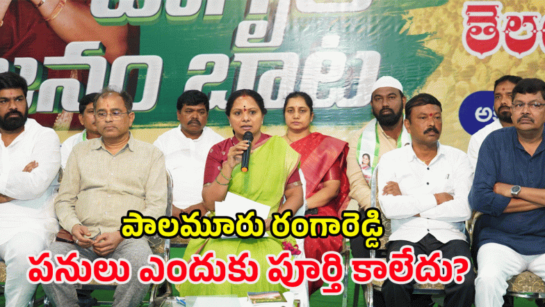 kavitha ( image credit: swetcha reporter)