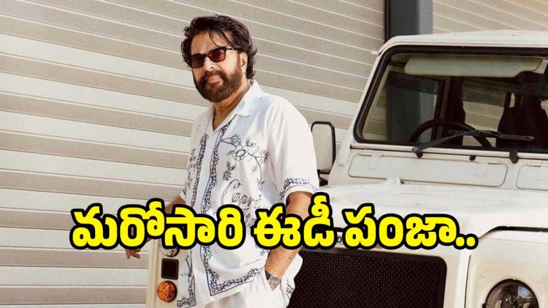 mammootty( image :insta)