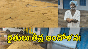 Sangareddy Rains ( image credit: swetcha reporter)