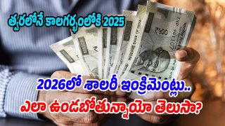 https://swetchadaily.com/business/india-salary-hikes-may-dip-in-2026-as-employee-attrition-stays-high-says-omam-report