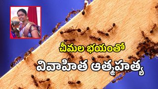 Woman Suicide (imagecredit:twitter)