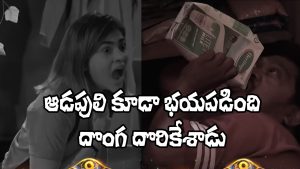 Bigg Boss Telugu 9 (Image Source: YT)