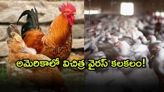 Bird Flu Case ( Image Source: Twitter)