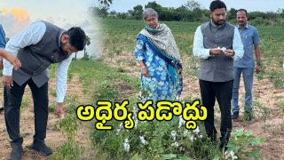 Collector Rizwan Basha (imagecredit:swetcha)