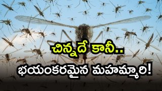 Dangerous Animal ( Image Souce: Twitter)