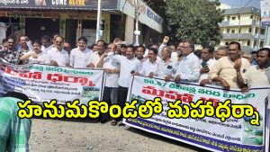 Warangal Floods (imagecredit:swetcha)