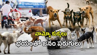 Gadwal District (imagecredit:twitter)