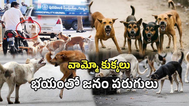 Gadwal District (imagecredit:twitter)