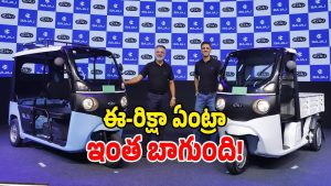 Bajaj Riki E-Rickshaw (Image Source: Twitter)