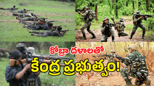 Chhattisgarh ( image credit: twitter)