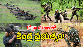 Chhattisgarh ( image credit: twitter)