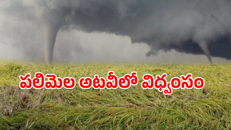 Bhupalpally District (imagecredit:twitter)
