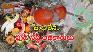 Expired Food (imagecredit:swetcha)