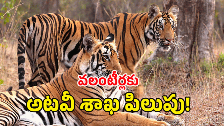 Forest Department ( image credit: twitter)