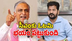 Harish Rao On CM (Image Source: Twitter)