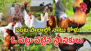 Warangal District (imagecredit:swetcha)