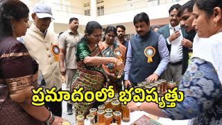 Environment (imagecredit:swetcha)