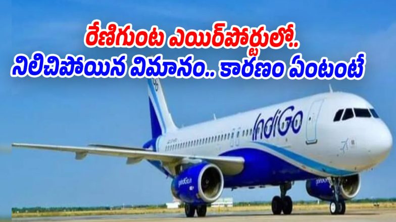 Indigo-Flight (Image source X)