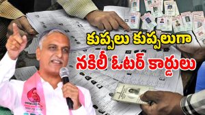 Jubilee Hills Bypoll (Image Source: twitter)