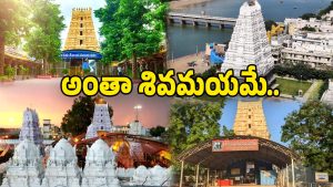 Kartika Purnima 2025 (Image Source: twitter)