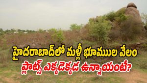 Land-Auction (Image source twitter)