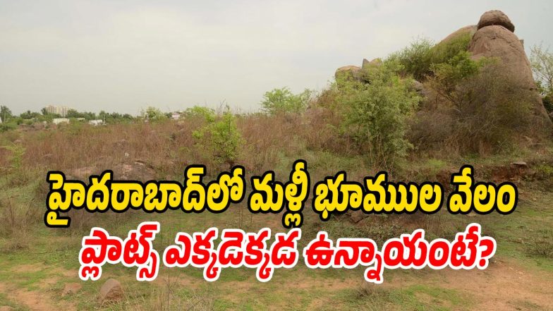 Land-Auction (Image source twitter)