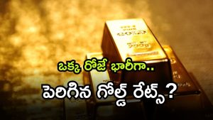 NOV 6 ( Image Source: Twitter)