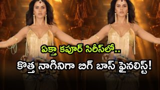 Naagin 7 First Look ( Image Source: Twitter)