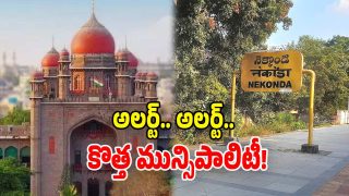 New Municipality (Image Source: Twitter)