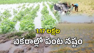 Crop Loss (imagecredit:twitter)