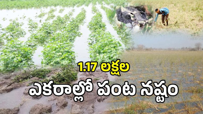 Crop Loss (imagecredit:twitter)