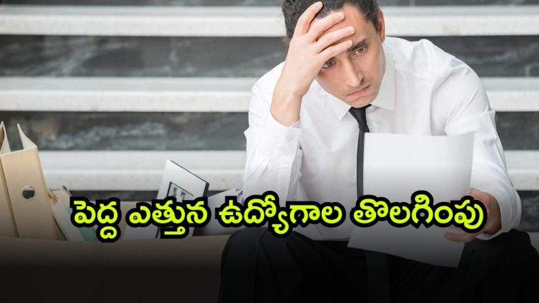 Porter ( Image Source: Twitter)