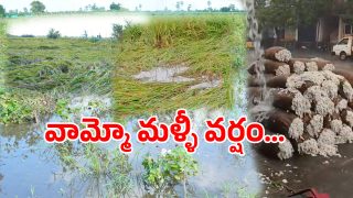 Warangal District (imagecredit:swetcha)