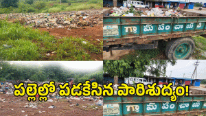 Sanitation Crisis ( image credit: swetcha reporter)