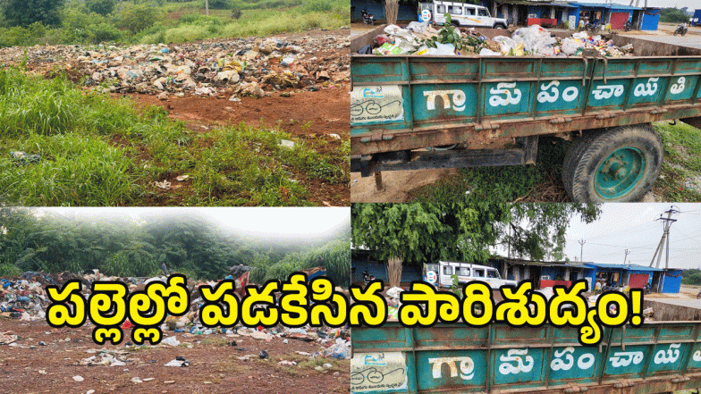 Sanitation Crisis ( image credit: swetcha reporter)