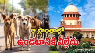 SC on Stray dogs (Image Source: twitter)
