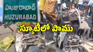 Snake In Scooty (Image Source: Twitter)